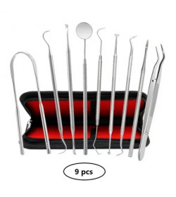 9 Pcs Tooth Pick Set